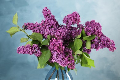 Beautiful lilac flowers in vase on light blue background