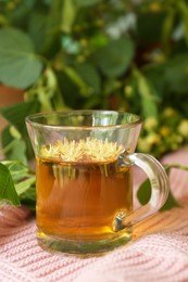 Photo of Glass cup of aromatic tea with linden blossoms on pink cloth