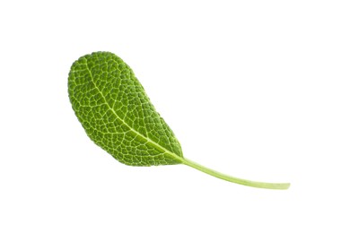 Photo of Aromatic green sage leaf isolated on white. Fresh herb