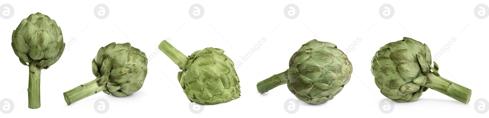 Image of Set with fresh raw artichokes on white background. Banner design 