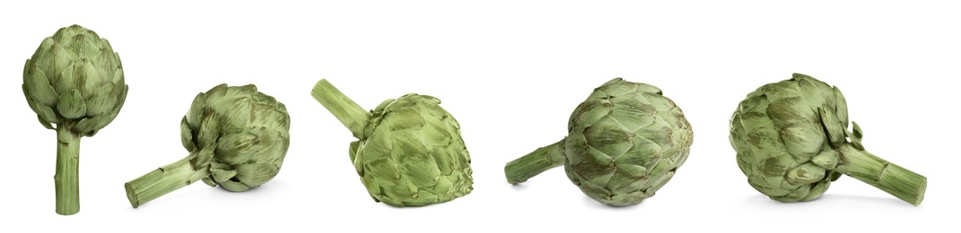 Image of Set with fresh raw artichokes on white background. Banner design 