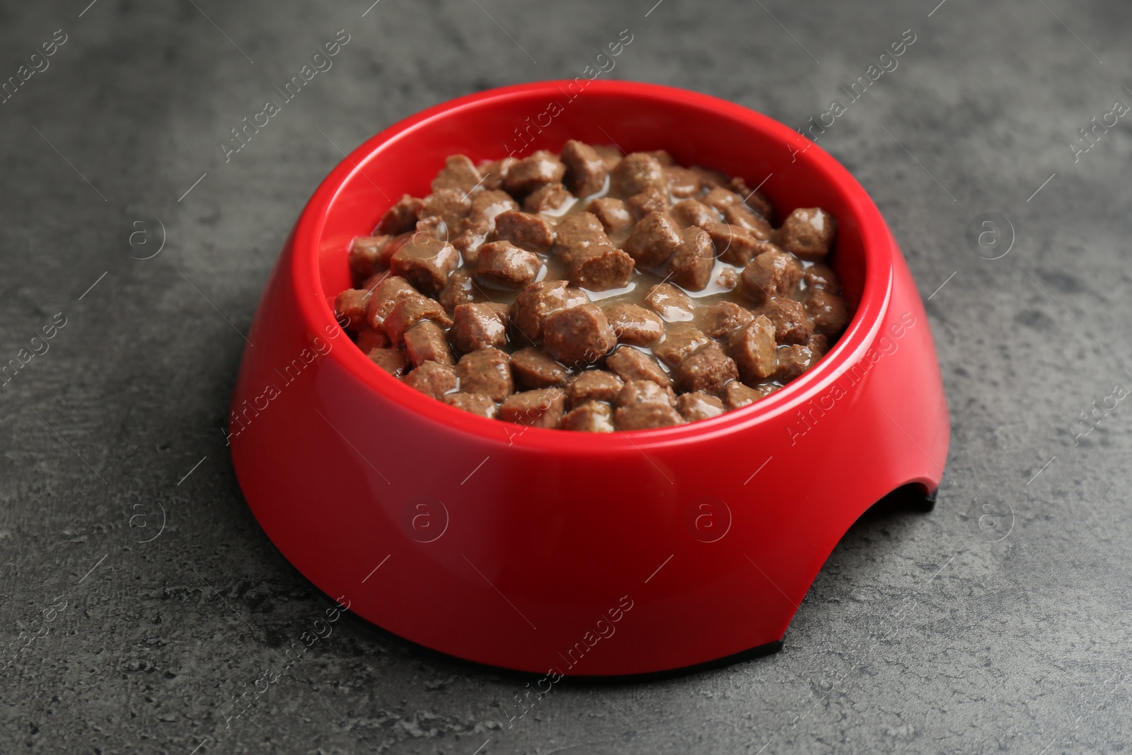 Photo of Wet pet food in feeding bowl on grey stone background