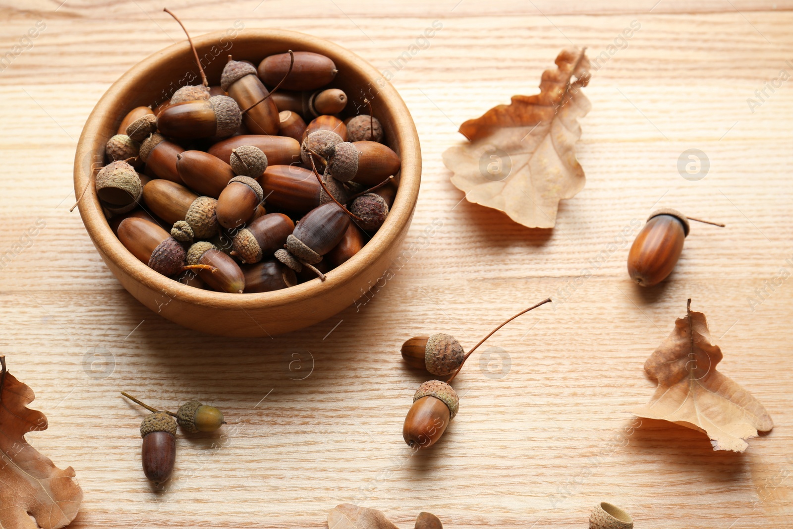 Photo of Acorns and oak leaves on wooden table