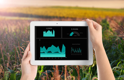 Image of Modern agriculture. Woman with tablet in corn field, closeup