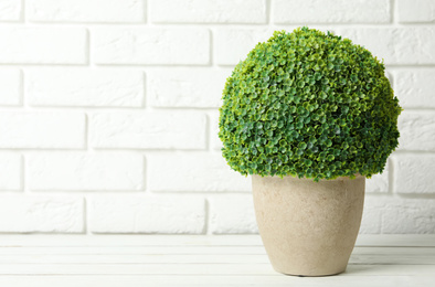 Beautiful artificial plant in flower pot on white wooden table near brick wall. Space for text