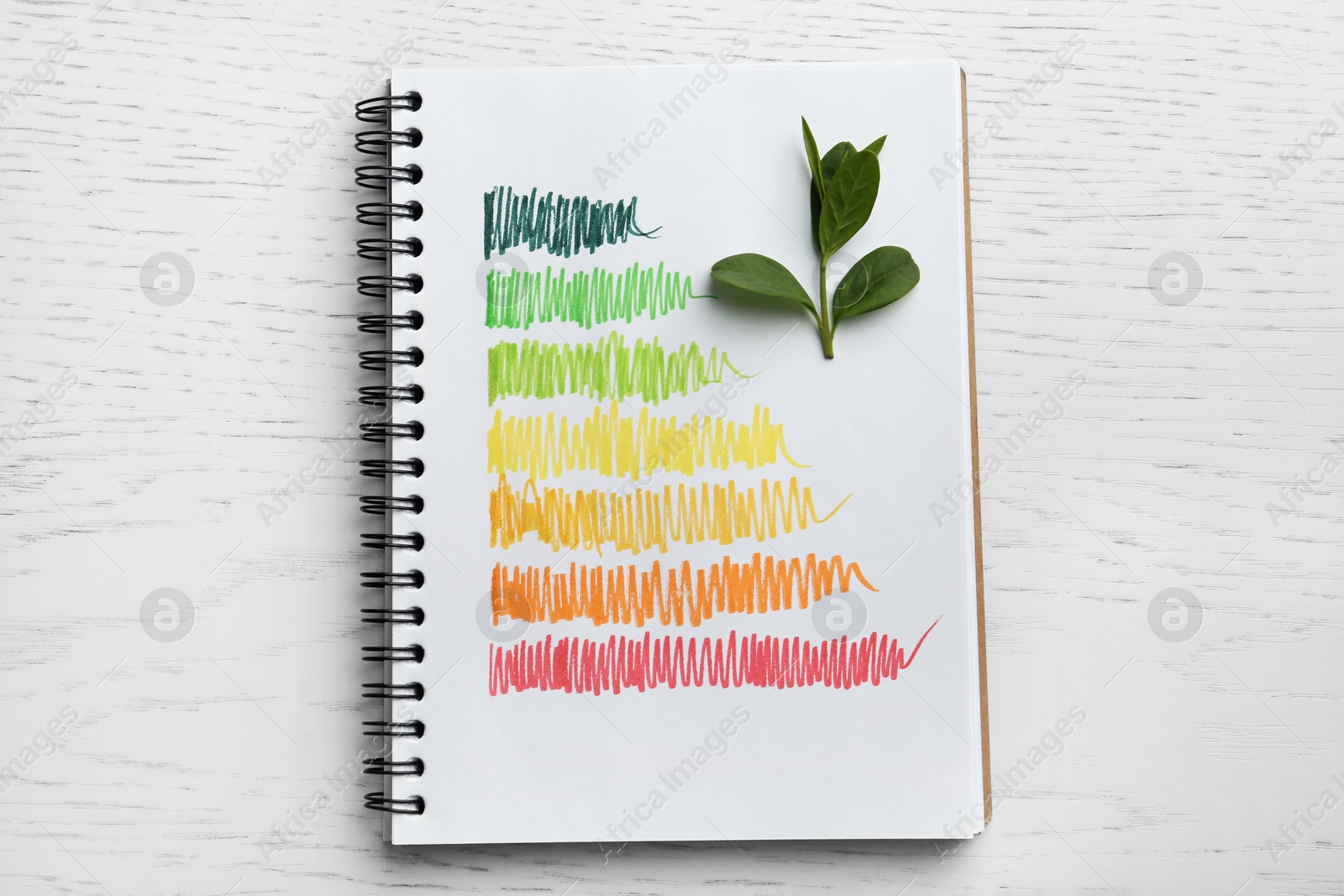 Photo of Notebook with colorful bars and leaves on white wooden background, flat lay. Energy efficiency rating chart