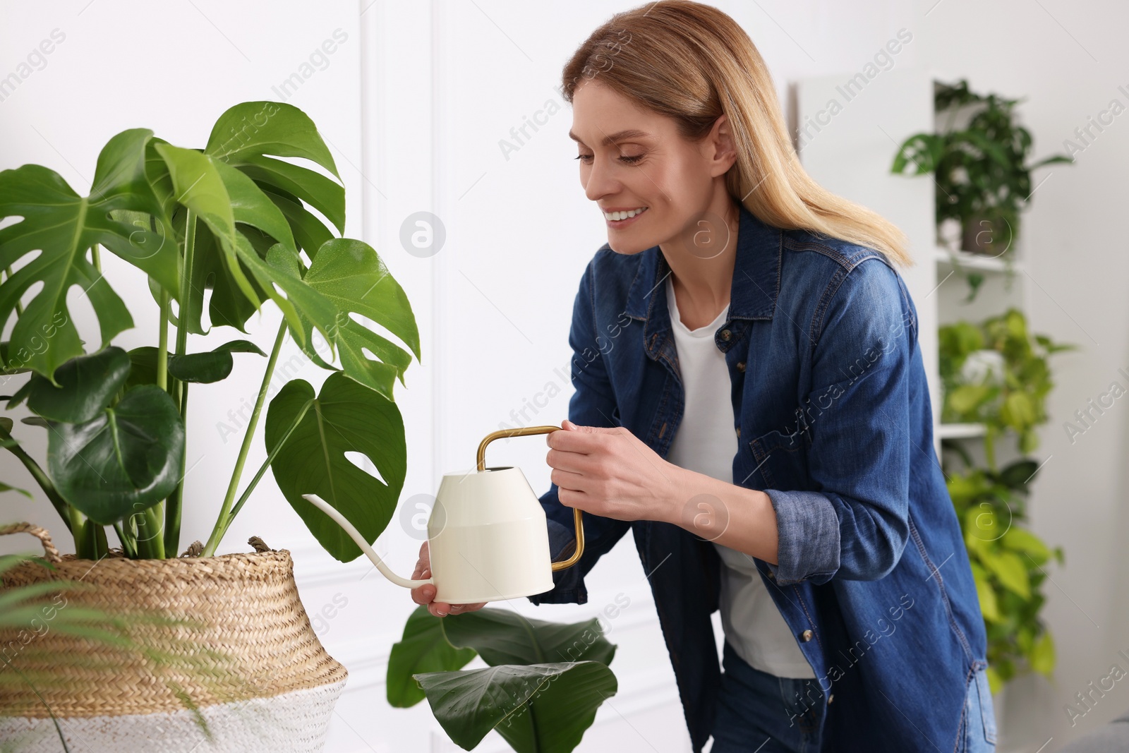 Photo of Woman watering beautiful potted houseplant at home