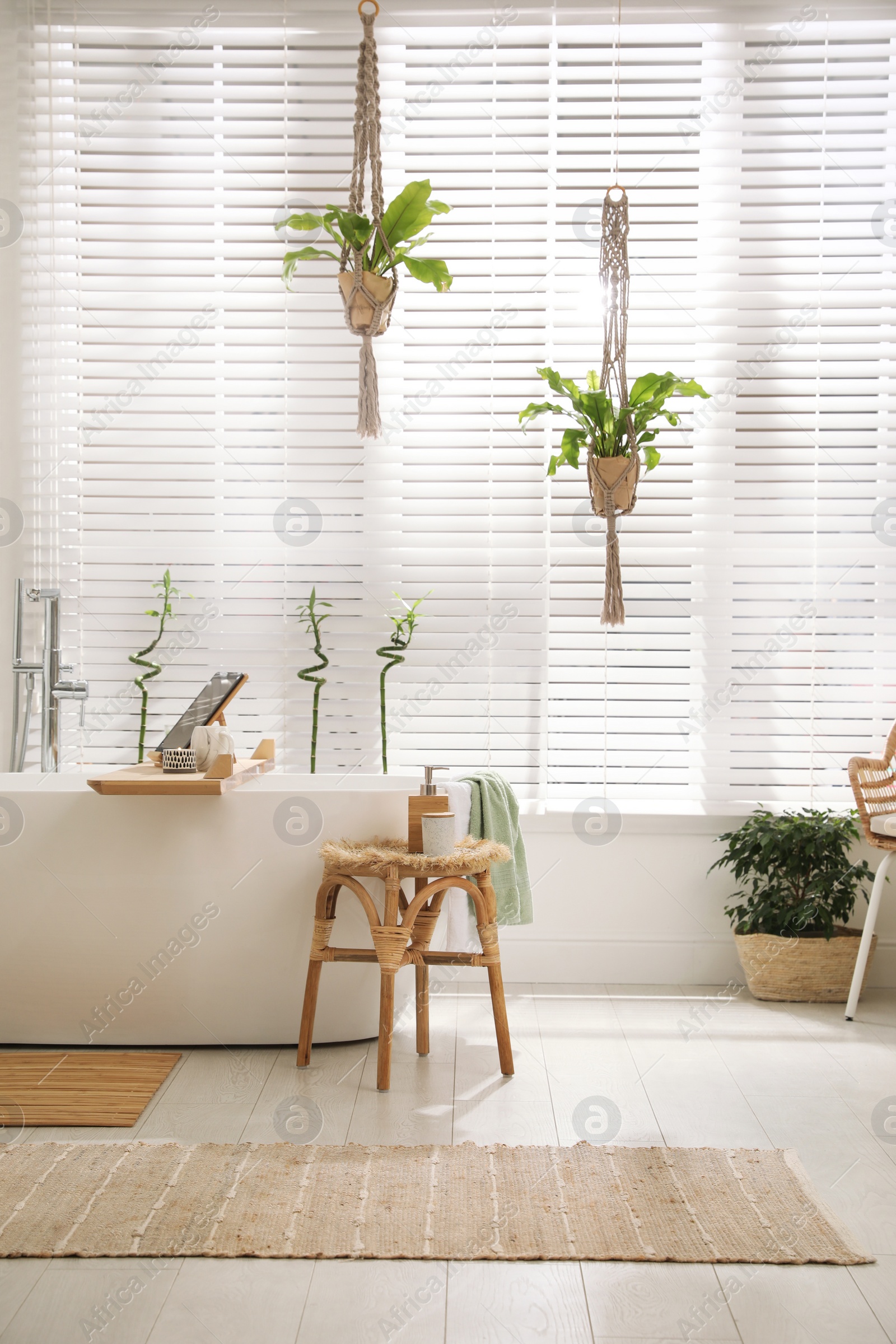 Photo of Stylish white tub and green houseplants in bathroom. Interior design