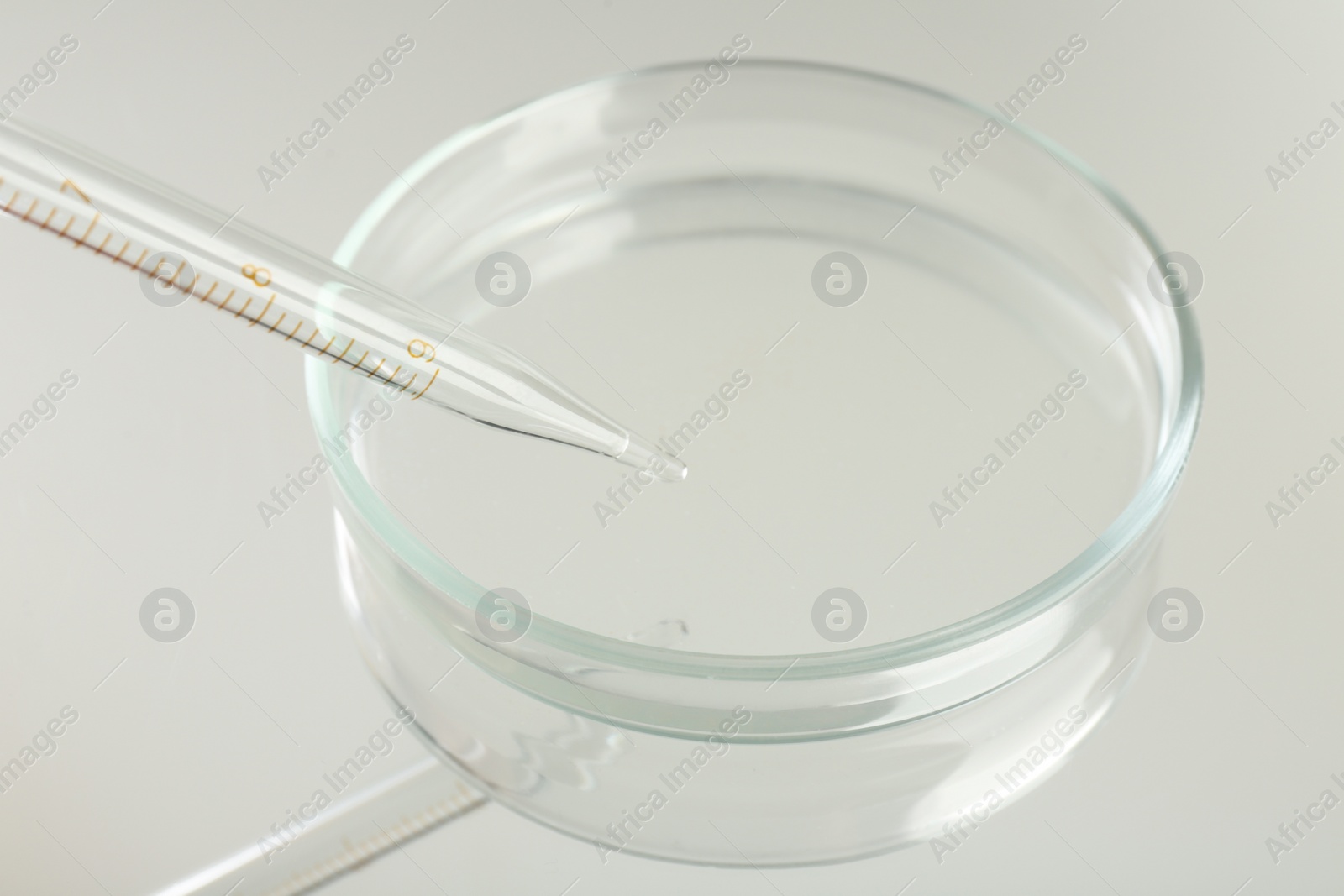 Photo of Petri dish and pipette with liquid sample on mirror surface, closeup