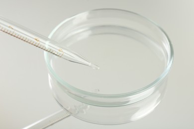 Petri dish and pipette with liquid sample on mirror surface, closeup