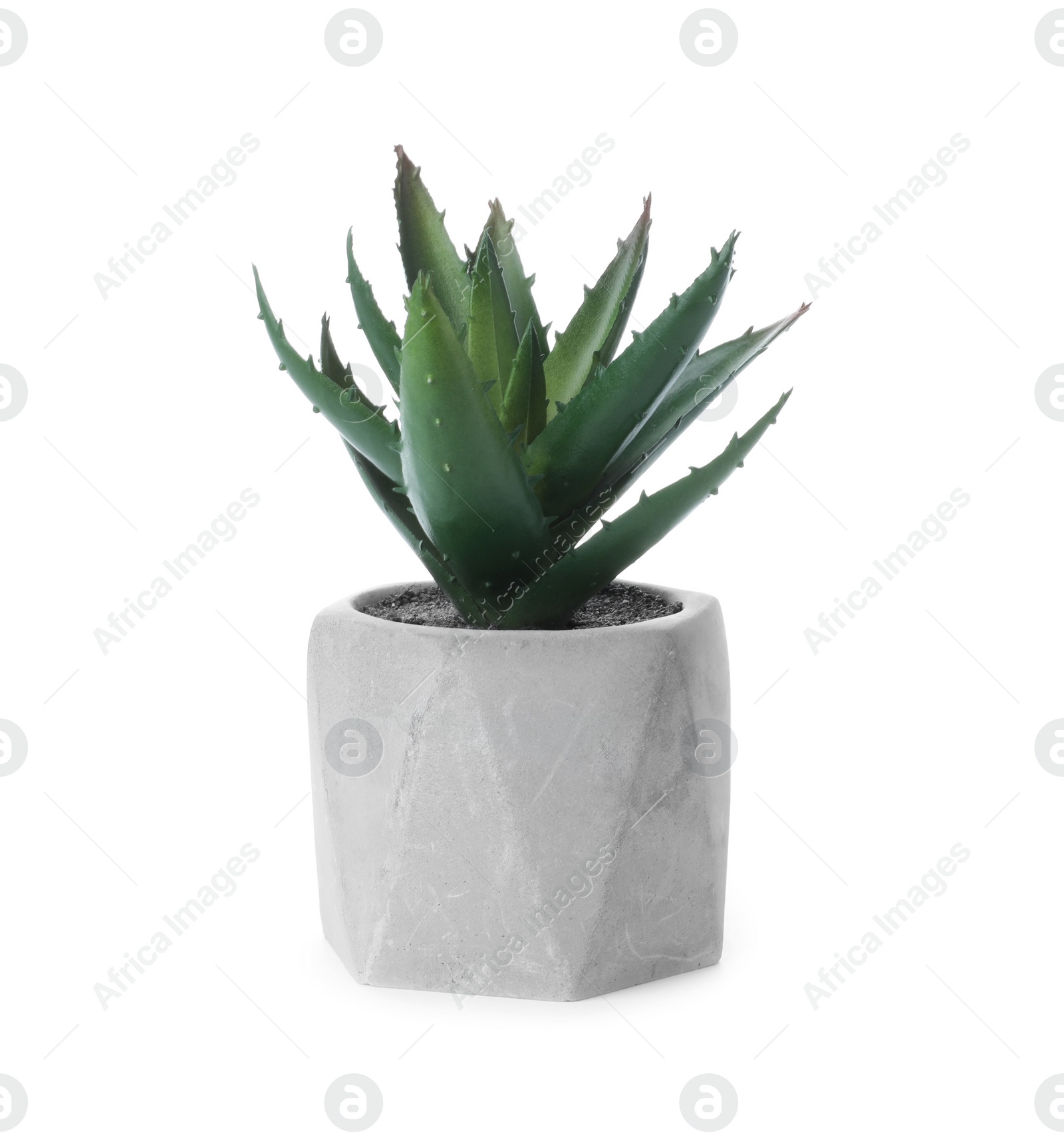 Photo of Beautiful artificial plant in flower pot isolated on white