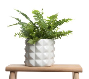 Photo of Beautiful fern in pot on wooden table against white background