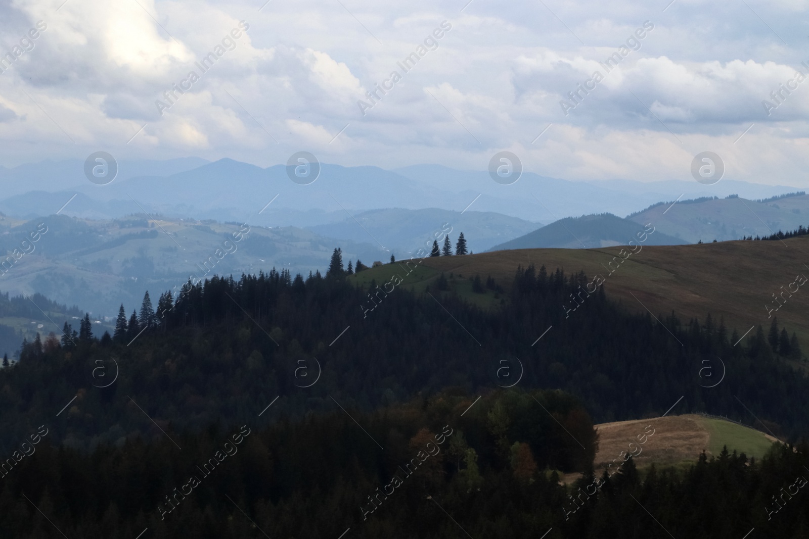 Photo of Beautiful mountain landscape with conifer forest on autumn day