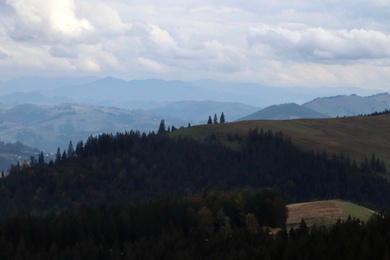 Beautiful mountain landscape with conifer forest on autumn day