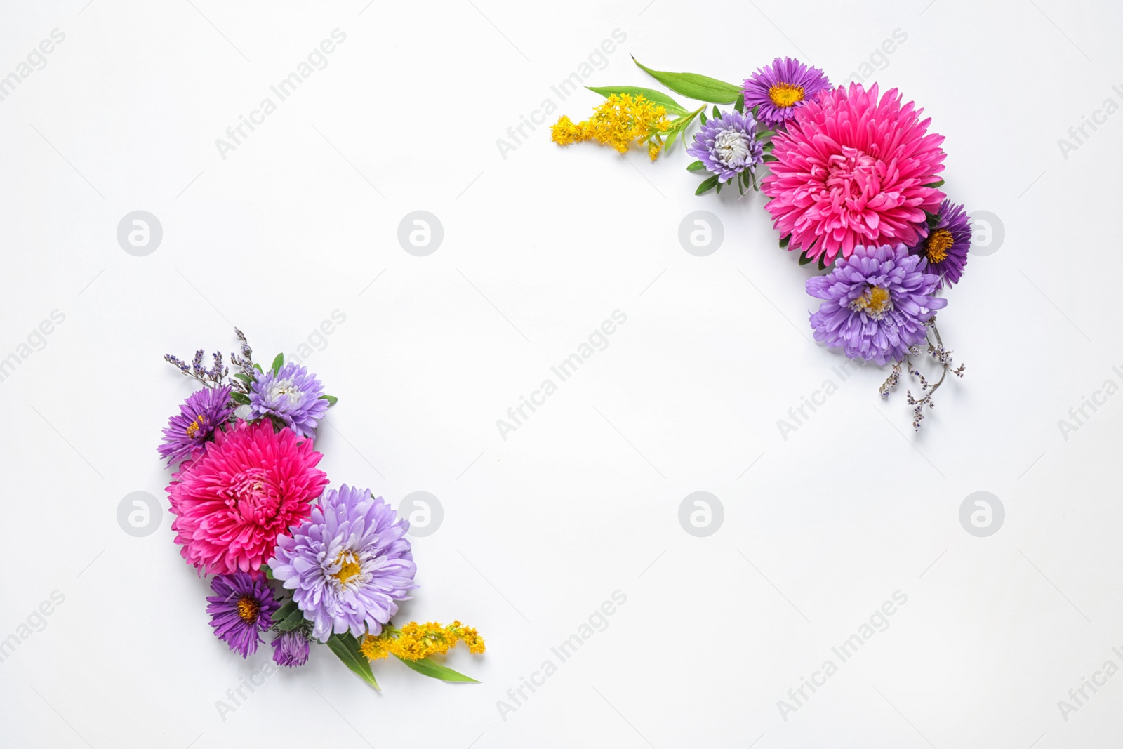 Photo of Composition with beautiful aster flowers on white background, top view. Space for text