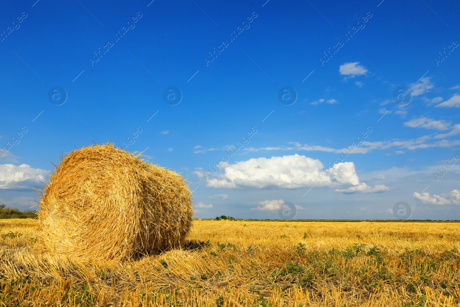 Photo of Beautiful view of agricultural field with hay bale