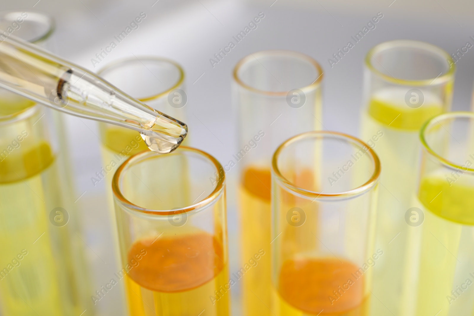 Photo of Dropping urine sample for analysis into tube, closeup