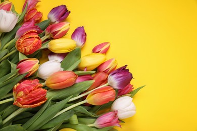 Beautiful colorful tulip flowers on yellow background, flat lay. Space for text