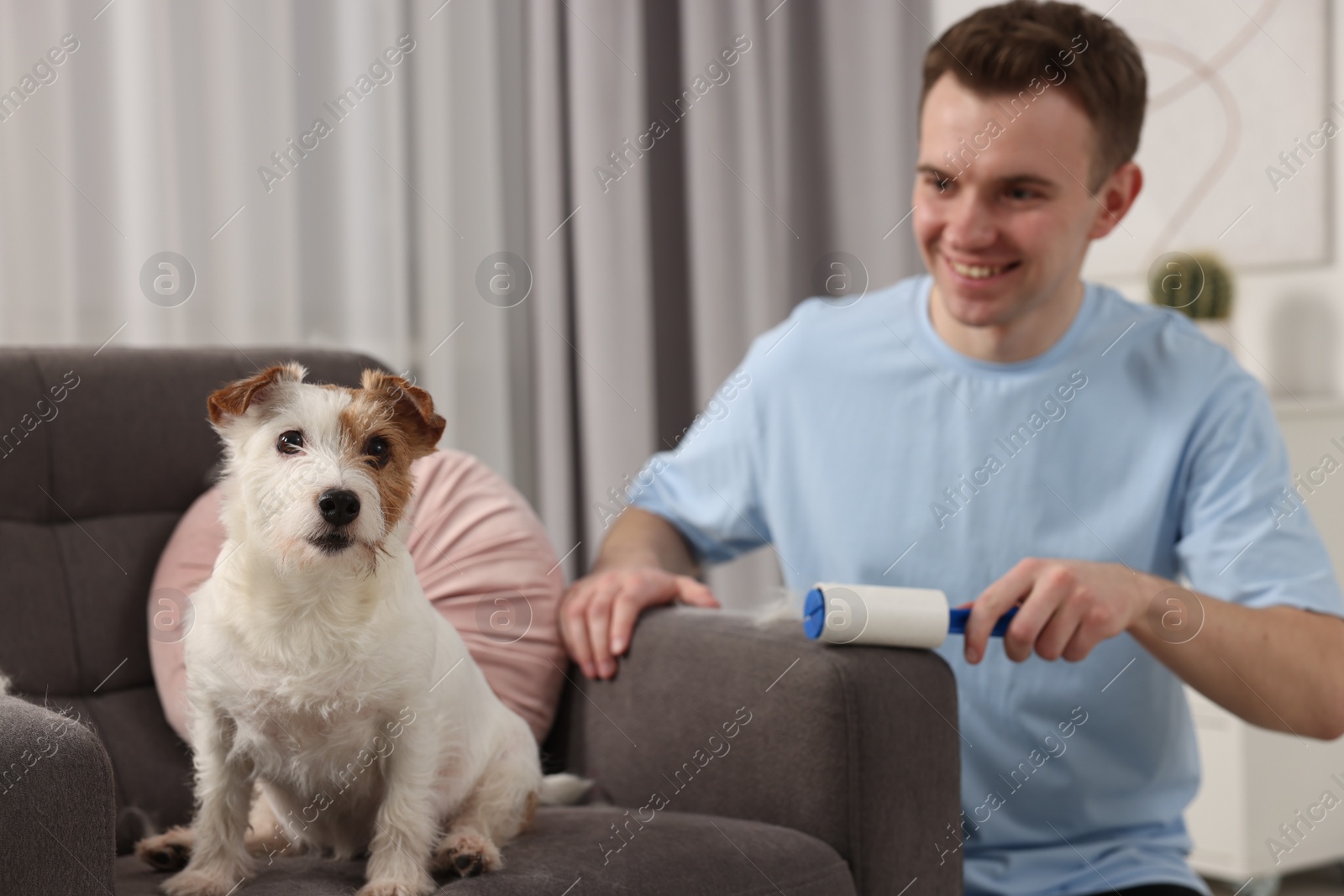 Photo of Smiling man removing pet's hair from armchair at home, selective focus