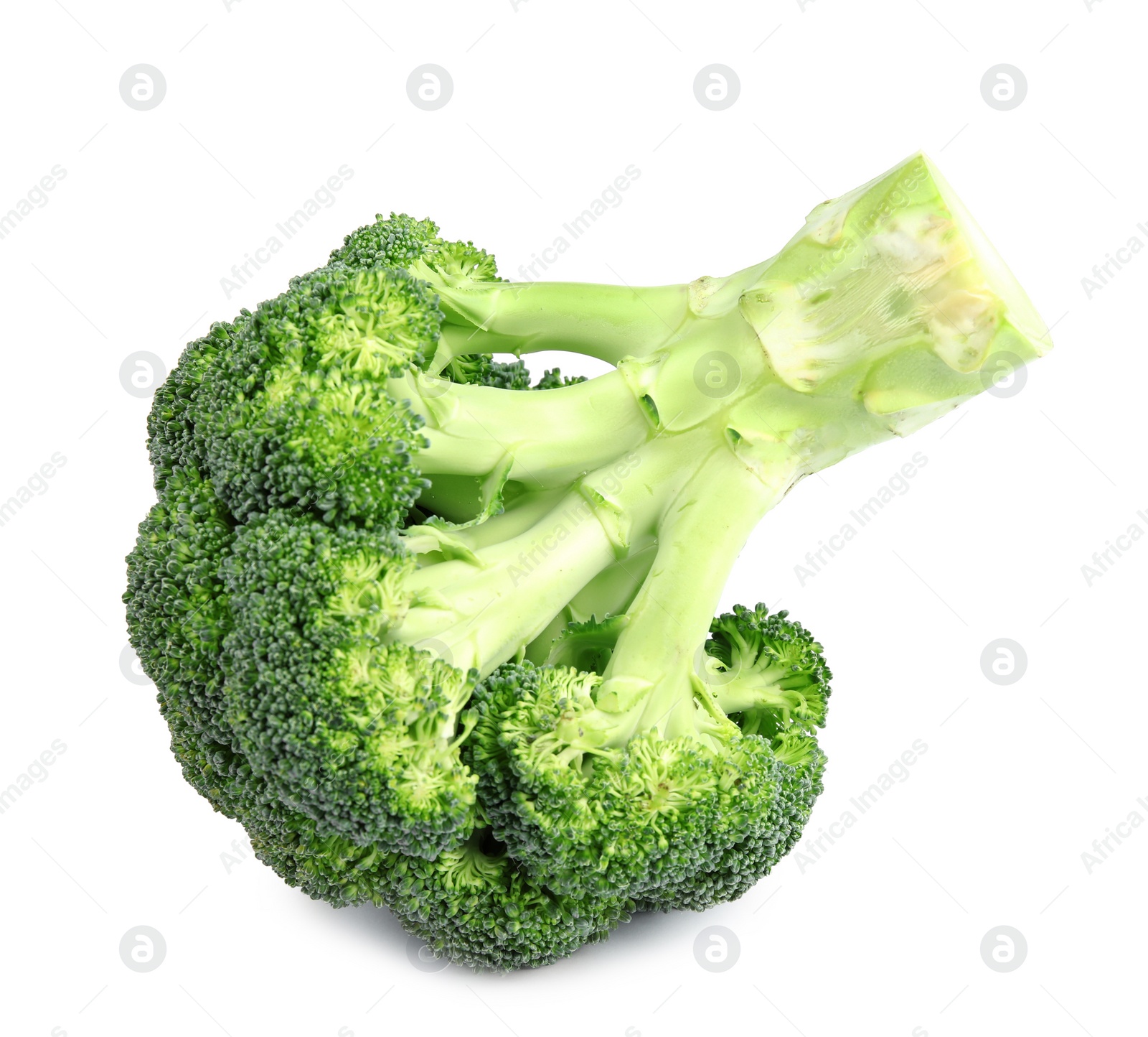 Fresh green broccoli on white background. Organic food Photo of Fresh green broccoli on white background. Organic food