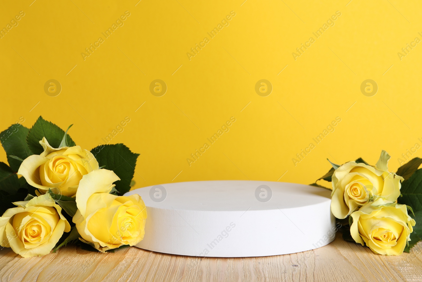 Photo of Beautiful presentation for product. White round podium and roses on wooden table against yellow background, space for text