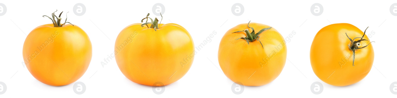 Image of Set with fresh ripe yellow tomatoes on white background. Banner design 