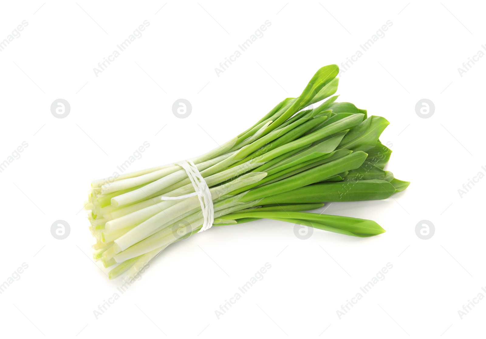 Photo of Bunch of wild garlic or ramson isolated on white