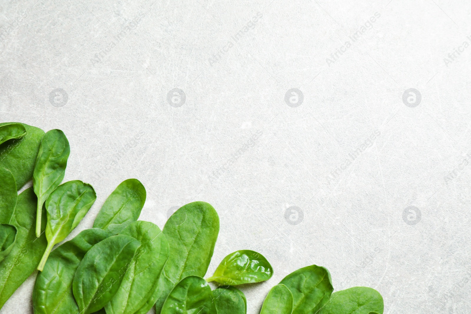 Photo of Fresh green healthy spinach on light table, flat lay. Space for text