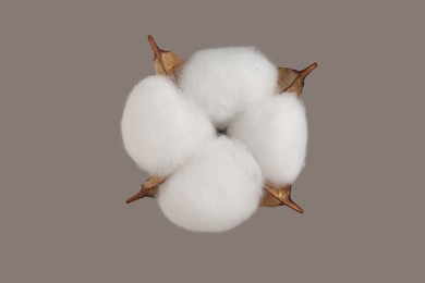 Photo of Beautiful fluffy cotton flower on beige background, top view