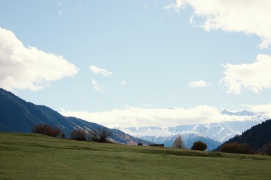 Photo of Picturesque view of mountain landscape with forest and meadow on autumn day