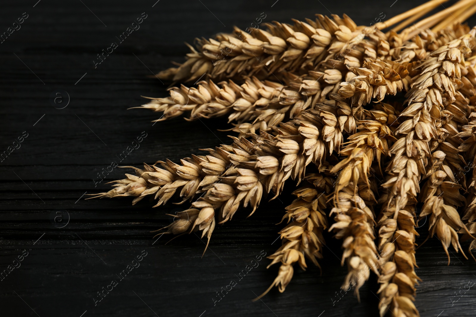 Photo of Bunch of wheat on black wooden table, closeup