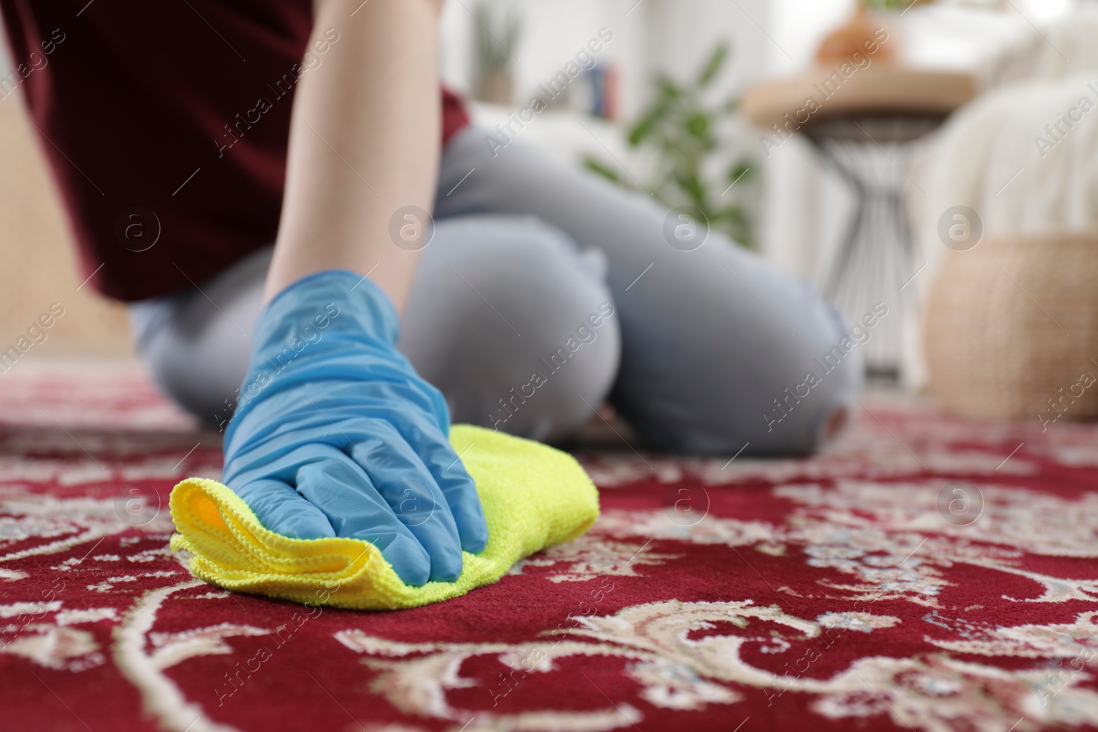 Photo of Woman in rubber gloves cleaning carpet with rag indoors, closeup. Space for text