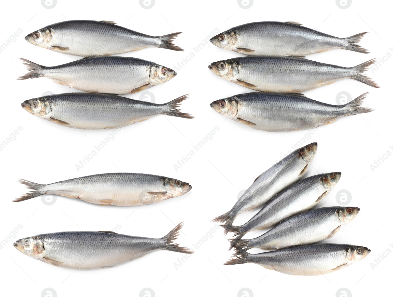 Image of Set with tasty salted herrings on white background