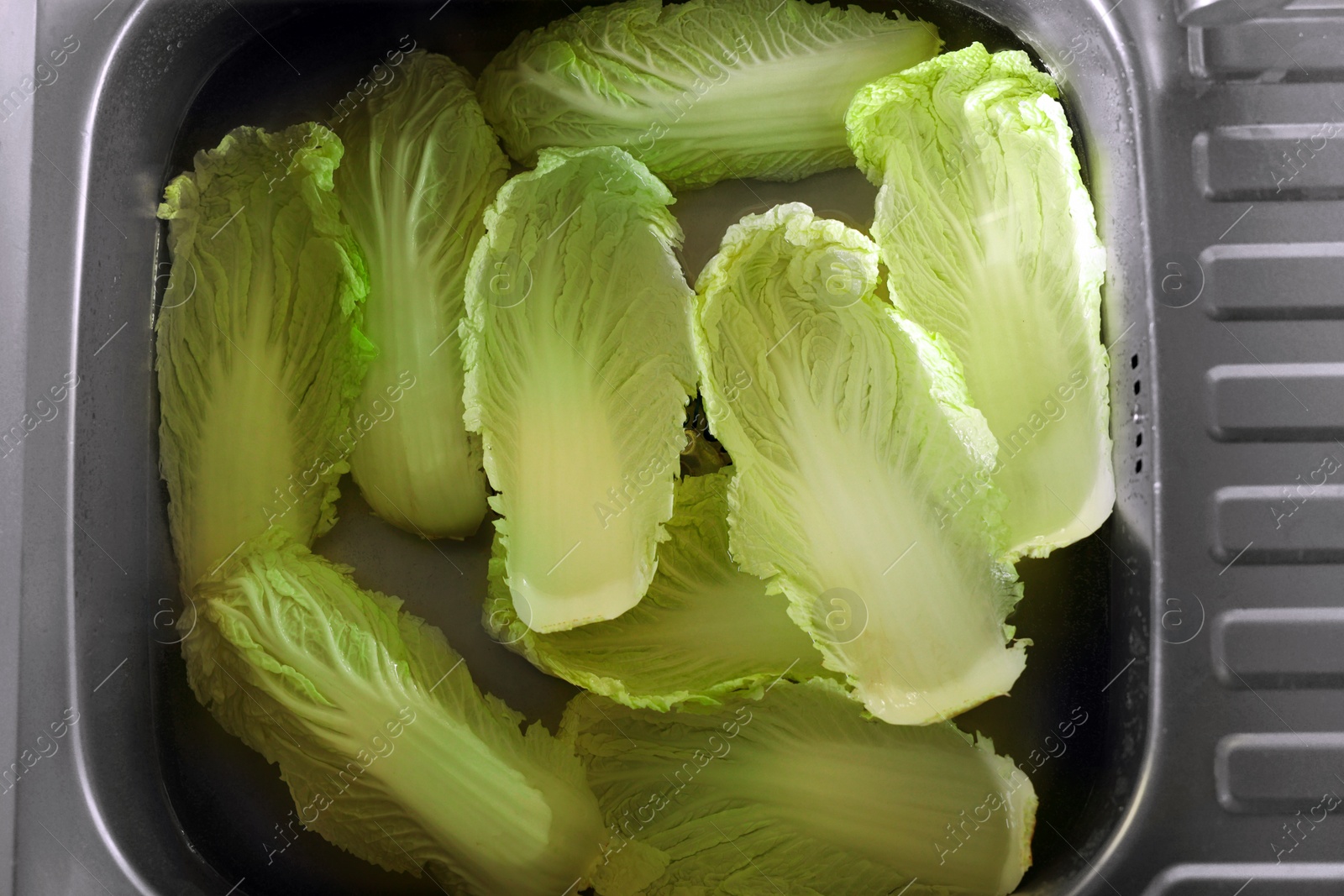 Photo of Chinese cabbage leaves in water inside sink, top view