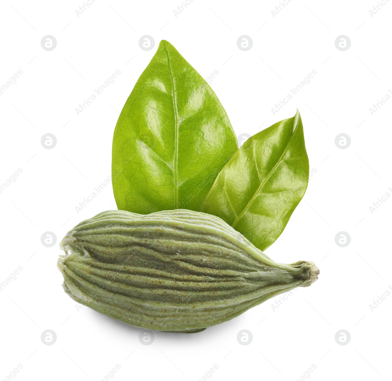 Image of Dry cardamom pod and green leaves on white background