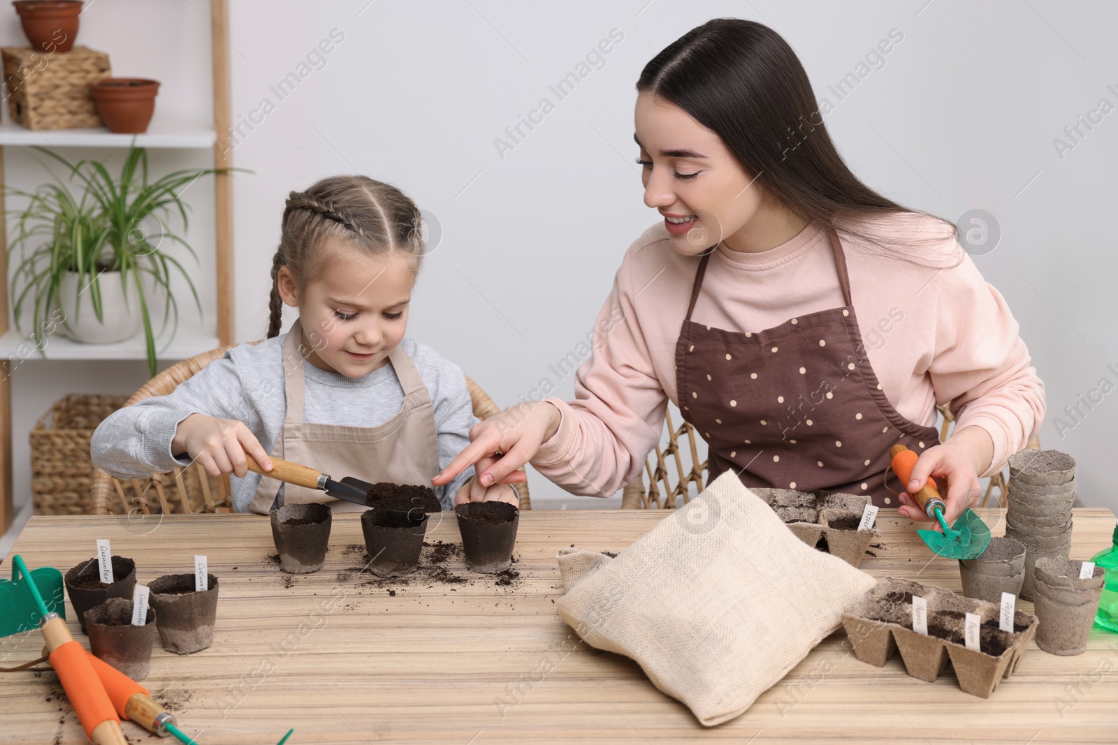 Photo of Mother and her daughter filling pots with soil at wooden table indoors. Growing vegetable seeds