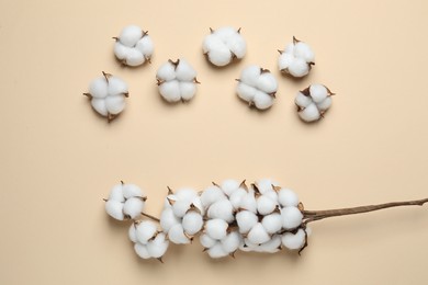 Beautiful cotton branch with fluffy flowers on beige background, flat lay. Space for text