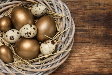 Photo of Quail and golden eggs in nest on wooden table, top view. Space for text