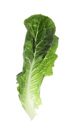 Photo of Fresh leaf of green romaine lettuce isolated on white