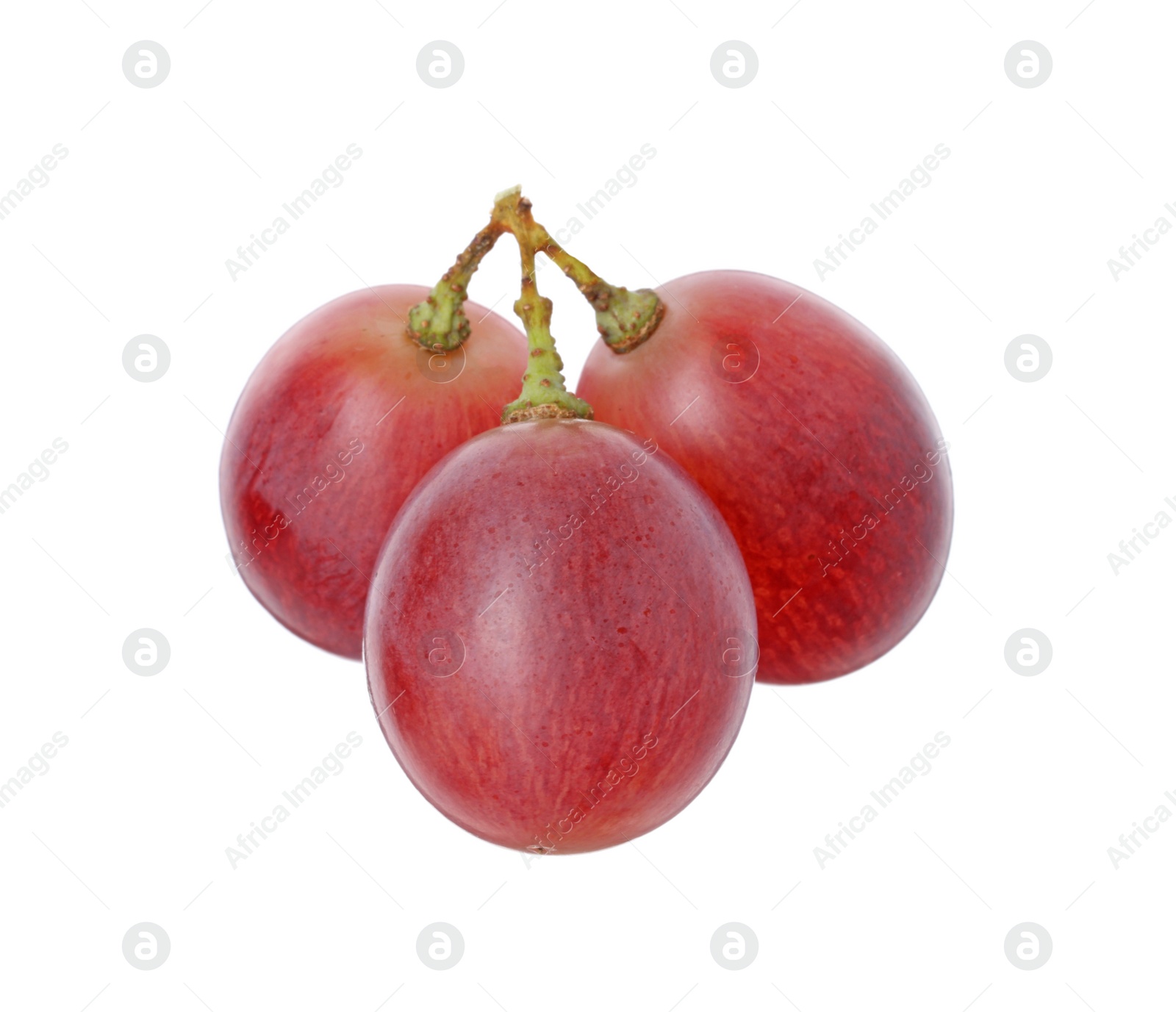 Photo of Delicious ripe red grapes isolated on white