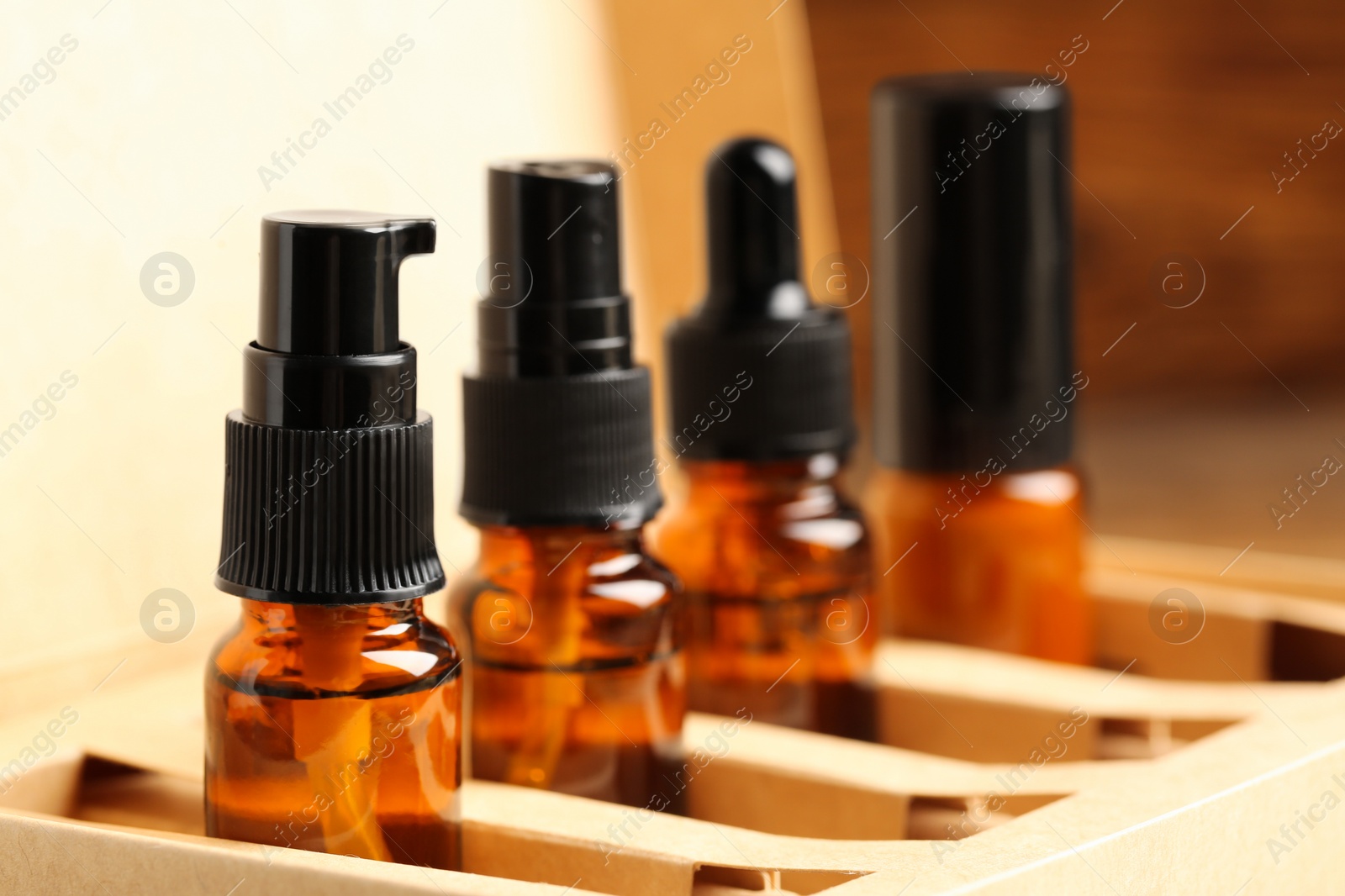 Photo of Bottles with oil in box, closeup. Natural cosmetics