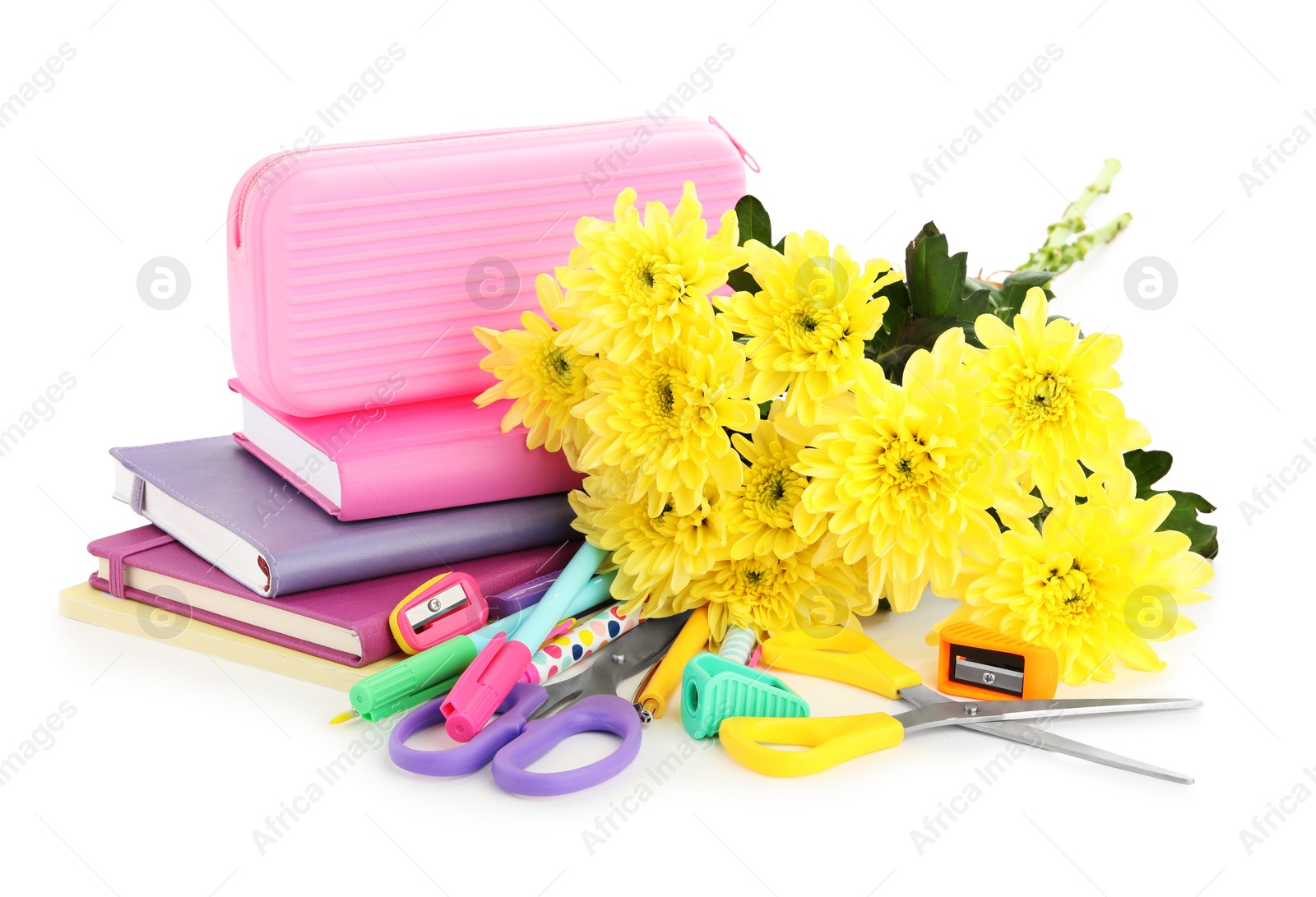 Photo of Beautiful flowers and stationery on white background. Teacher's Day