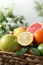 Different cut and whole citrus fruits in wicker basket outdoors