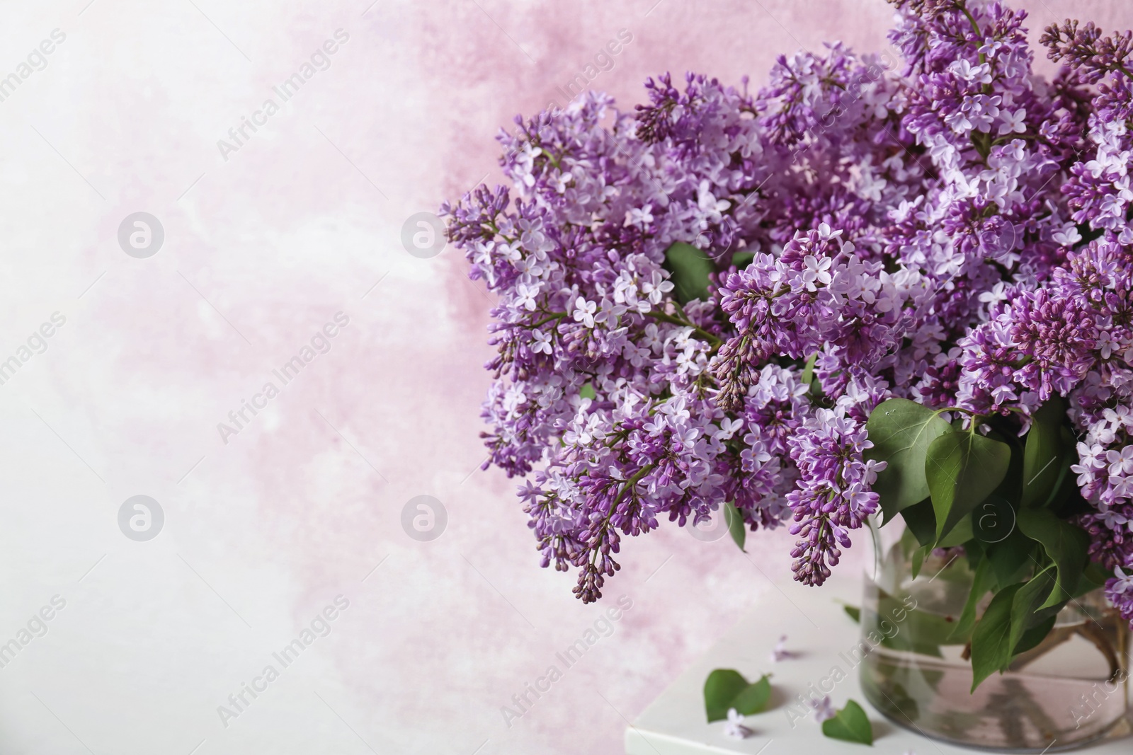 Photo of Vase with blossoming lilac on table against color background. Spring flowers