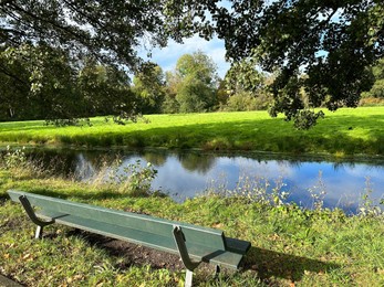 Wooden bench near pond in picturesque park