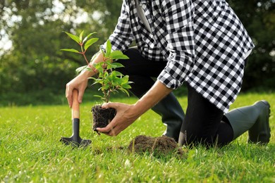 Man planting young green tree in garden, closeup