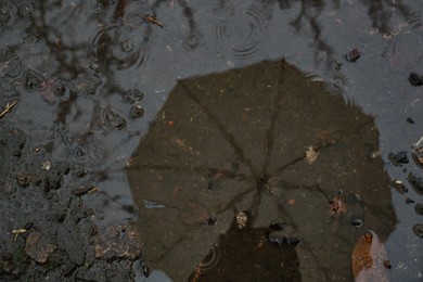 Photo of Reflection of umbrella in puddle on rainy autumn day, top view