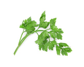 Photo of Sprig of fresh green parsley leaves isolated on white, top view
