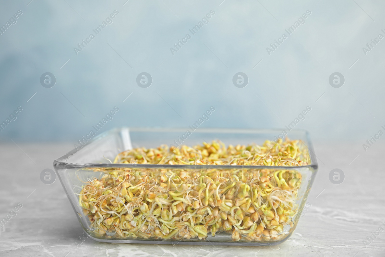 Photo of Glass bowl with sprouted green buckwheat on light grey table