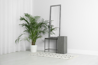 Modern interior with large mirror and beautiful plant near white wall